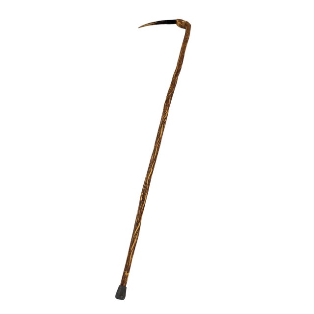 Ironwood Walking Stick For Sale - Image 10 of 12