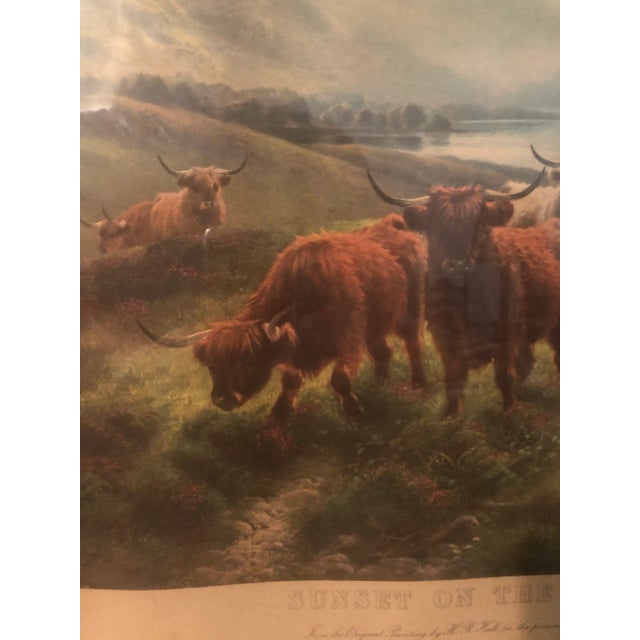 Rustic European Scottish Cattle Framed Print For Sale - Image 3 of 7