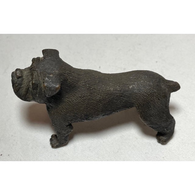 Antique Austrian Miniature Bronze Dog Bulldog Statue Figure Sculture Realistic For Sale - Image 11 of 12