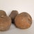Group of Seven Large Terracotta Unglazed Apples and Pears, Circa 1900 For Sale In San Francisco - Image 6 of 10