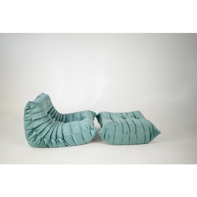 Textile Togo Lounge Chair and Mint Velvet by Michel Ducaroy for Ligne Roset, 1973, Set of 2 For Sale - Image 7 of 18