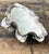 Vintage Metal Dipped Ruffle Clam Shell For Sale - Image 10 of 12