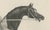 Maxim Gauci, Sedbury Equestrian Horse & Rider Portrait, 1840, Lithograph For Sale - Image 5 of 10