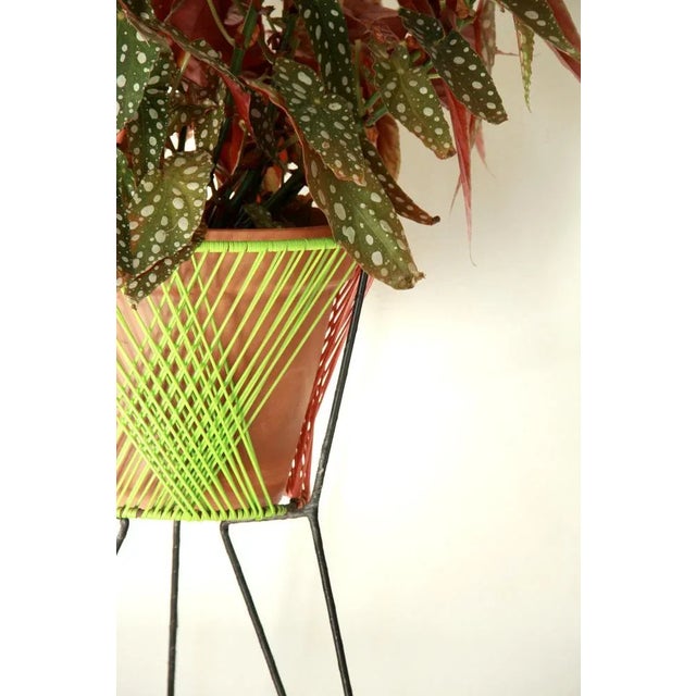 1960s Mid-Century Scooby-Doos Plant Stands, Italy, 1960s, Set of 2 For Sale - Image 5 of 11