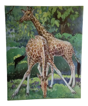 1937 Giraffe Book Illustration by Diana Thorne