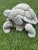 Late 20th Century Cast Stone Tortoise Garden Ornament For Sale - Image 5 of 8