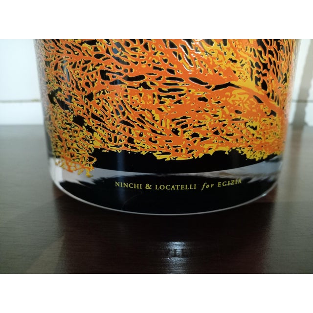 Acquaria Vase by Ninchi and Locatelli for Egizia, 2009 For Sale - Image 4 of 5