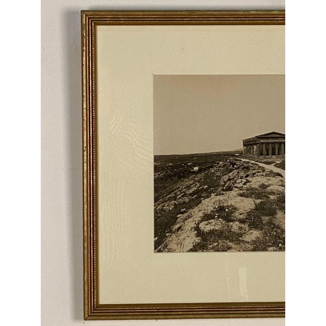 Grand Tour View of Southern Italian Ancient Temple at Paestum, Italy For Sale - Image 3 of 5