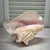 Beautiful vintage natural conch shell. Makes lovely tabletop or bookcase decor. Measures 10” w x 8” d x 6” h.