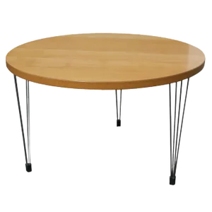 Fritz Hansen Coffee Table by Piet Hein and Bruno Mathsson