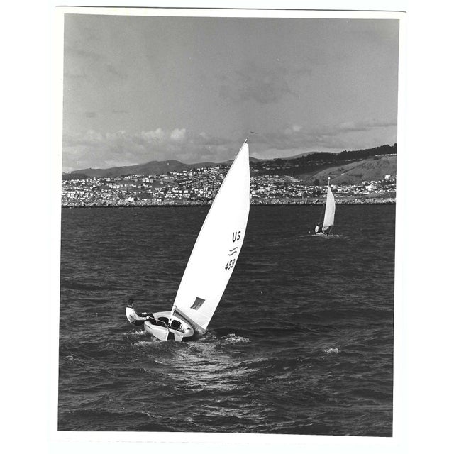 1960s black and white photograph of sailboats of a populated shoreline (maybe California). Blank reverse and unmarked....