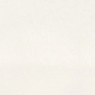 Schumacher X Caroline Z Hurley Great Rock Embroidery Fabric in Ivory For Sale