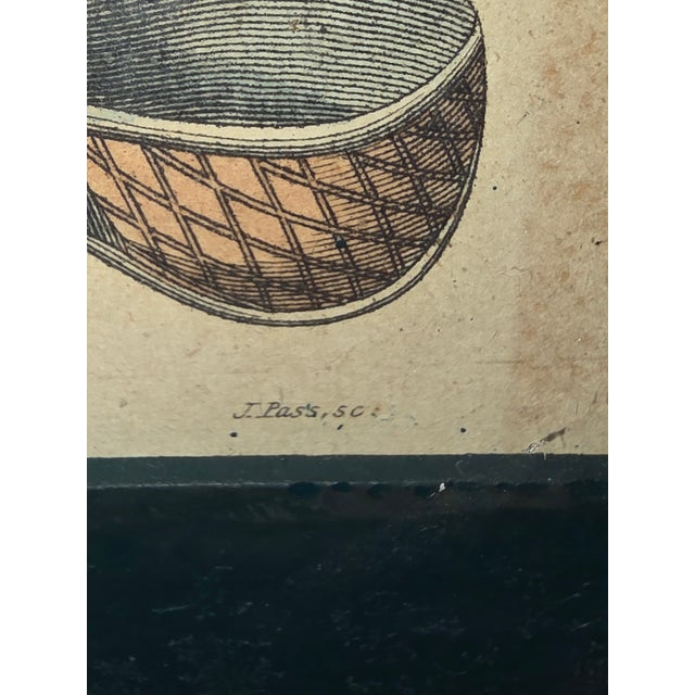 Hand Colored Medical Tools Engraving For Sale - Image 4 of 9