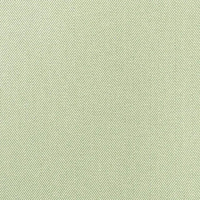 Sample- Schumacher Classic Herringbone In/Out Fabric in Leaf For Sale