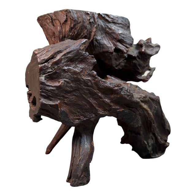 Antique Japanese Root Wood Ikebana Display, 1900s For Sale