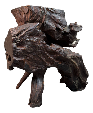 Antique Japanese Root Wood Ikebana Display, 1900s