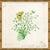 From the archives of legendary textile artist, engraver and painter Paule Marrot (1902-1987) comes this beautiful, wide-...