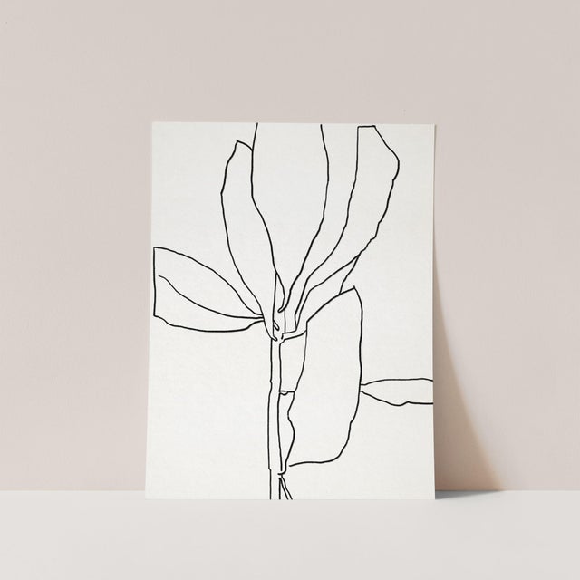 2020s Contemporary Minimalist Botanical Illustration Giclee Print For Sale - Image 5 of 5