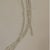 Antoni Tàpies, Cordill, 1972, Etching, Framed For Sale - Image 3 of 9