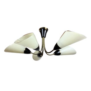 Mid-Century Modern 5-Arm Brass Chandelier with White Glass Cone Shades, 1960s For Sale