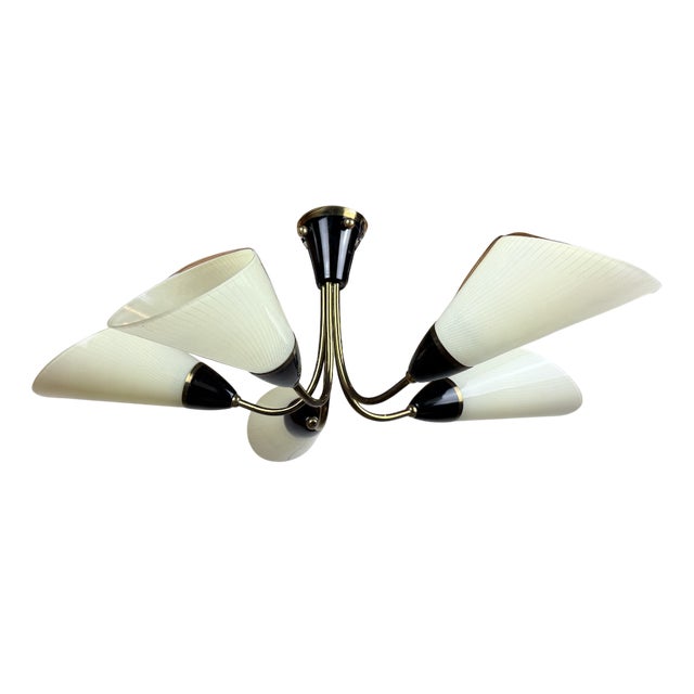 Mid-Century Modern 5-Arm Brass Chandelier with White Glass Cone Shades, 1960s For Sale