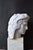 Hand-Carved Mithridates Bust Sculpture, 20th Century, Marble For Sale - Image 5 of 6