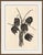 Contemporary Overgrown Series by Susan Hable For Sale - Image 3 of 6