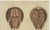 Late 18th Century Antique Lobster Crab and Horseshoe Crab Engraving by Bertuch, 1792 For Sale - Image 5 of 9