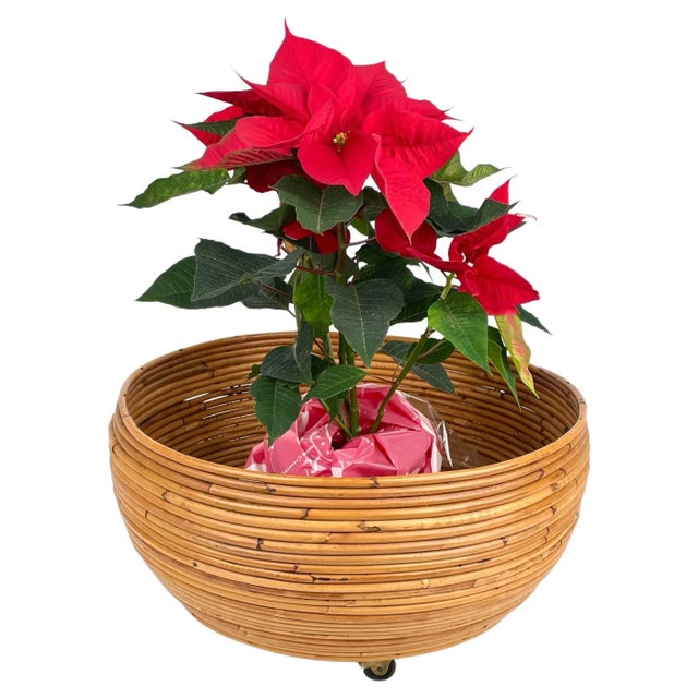 Round flower stand plant holder in rattan with wheels, in the style of Vivai Del Sud. Made in Italy in the 1960s.