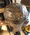 Antique Hemba Ancestor Figure Sculpture For Sale - Image 4 of 4