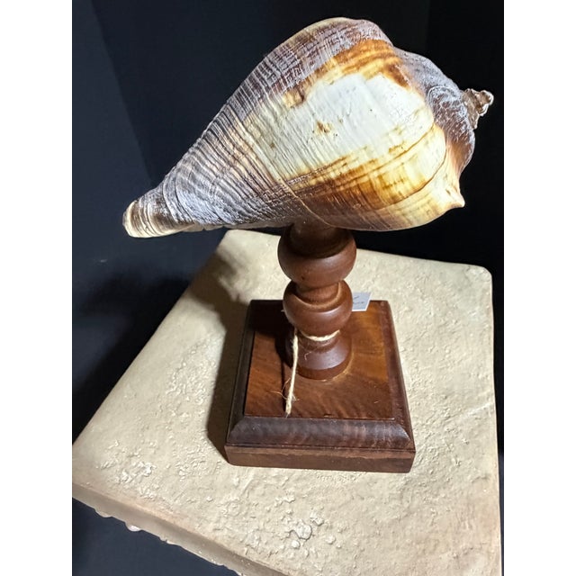 Step into a studio-turned-sanctuary. This sale features a series of original works born from a fascination with the ornate...