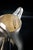 1990s Louis XV Style Silver-Plated Metal Teapot with Pompadour Pattern from Christofle, France, 1980s For Sale - Image 5 of 11