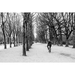 "Paris Rond Point 2012" Contemporary Black and White Street Photograph by David Rubin 16"x24" For Sale