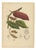 Berthe Hoola van Nooten, Cacao Tree (Theobroma Cacao), 1880, Chromolithograph For Sale