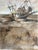 Abraham Pinto, Low Tide, Oil on Panel For Sale - Image 6 of 6
