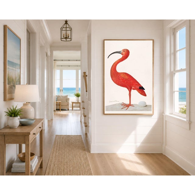 Scarlet Scarlet Ibis, Vintage Art Print Reproduction, 24" X 36" For Sale - Image 8 of 12