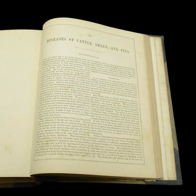 1900's Antique Book Modern Practical Farriery For Sale - Image 9 of 10