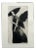 Krystyna Jaszke, Black Angel, Mezzotint on Paper, 2013 For Sale