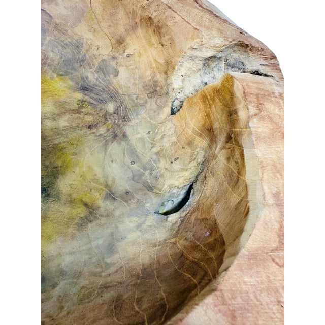 Monumental 20” Hand-Carved Teak Root Sculptural Centerpiece Bowl - 19 Lbs, Early 2000s For Sale - Image 15 of 18