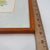 Title: Vintage Margot Weemaes Primula Kewensis Botanical Print 1981 Framed For Sale - Image 10 of 11