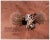Presented is a photograph of the Phoenix Lander on Mars, signed and inscribed by Apollo 16 moonwalker Charlie Duke. In the...