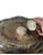 Wallace Baroque 287 Silver Plate Covered Dish Converts to 2 Servers Ornate Vintage For Sale - Image 9 of 12