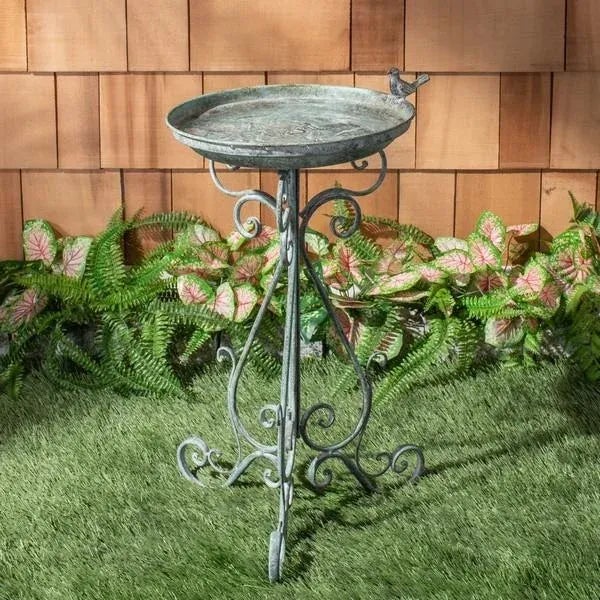 Enchanting and elegant, this Ashlan Bird Bath transforms any outdoor area into a magical secret garden. Adorned with...