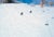 Downhill Racers by Toni Frissell Two skiers on a piste go under a ski lift at the Stowe Mountain resort, Vermont, USA,...