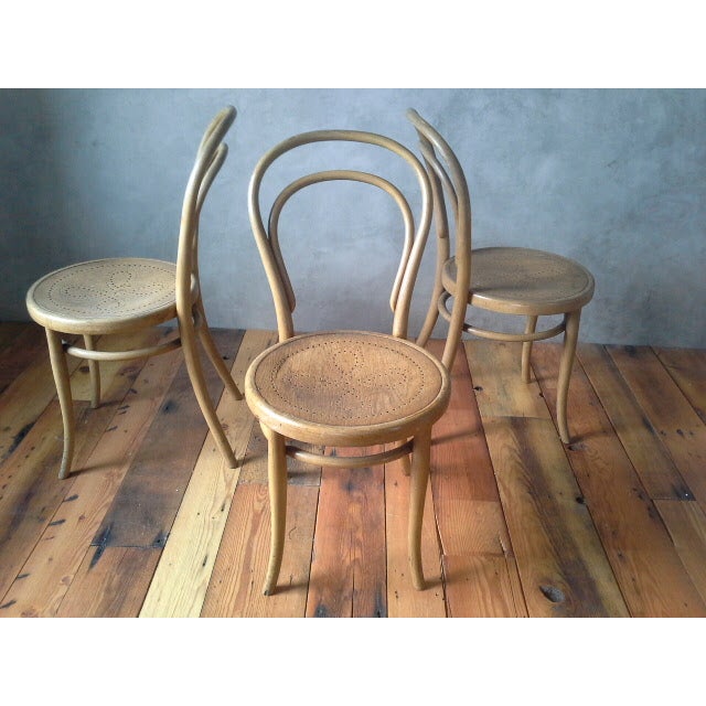 Antique Vienna Bentwood Chairs Set of 3 Chairish