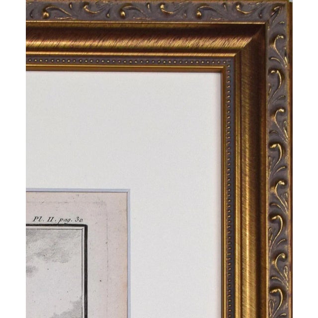 Printmaking Materials 18th Century Original French Monkey Engraving by Buffon 1789 For Sale - Image 7 of 8