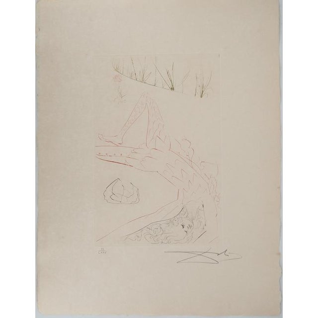 Salvador Dali, Wounded Tristan, Engraving For Sale - Image 10 of 10