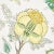 English Schumacher Indian Arbre Fabric in Citron For Sale - Image 3 of 5
