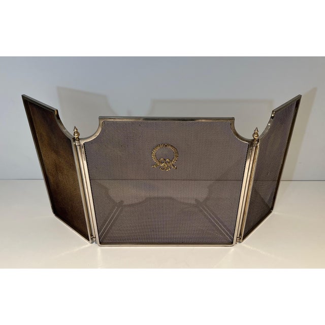 Fireplace Screen in Steel, Brass and Mesh in Neoclassical Style For Sale - Image 4 of 10