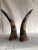 Pair of 1950s carved horns with dragon motif on wood base. They are a definite statement piece.